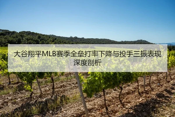 大谷翔平MLB赛季全垒打率下降与投手三振表现深度剖析