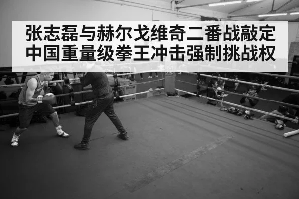 张志磊与赫尔戈维奇二番战敲定 中国重量级拳王冲击强制挑战权