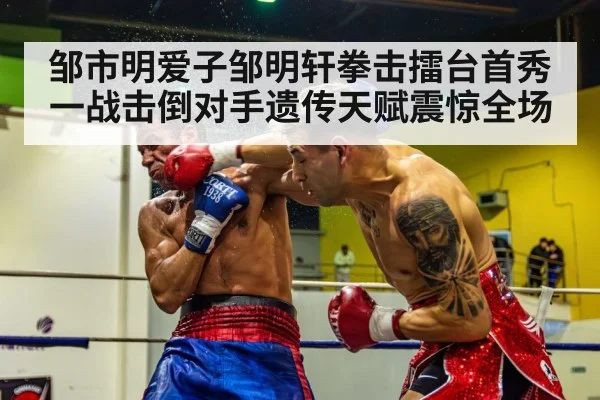 邹市明爱子邹明轩拳击擂台首秀一战击倒对手遗传天赋震惊全场